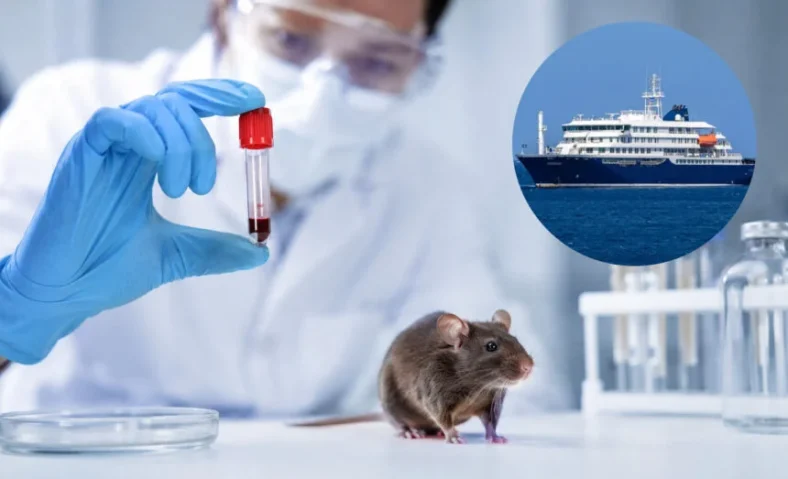 Wabah Hantavirus